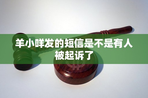羊小咩发的短信是不是有人被起诉了 羊小咩发的短信是不是有人被起诉了
