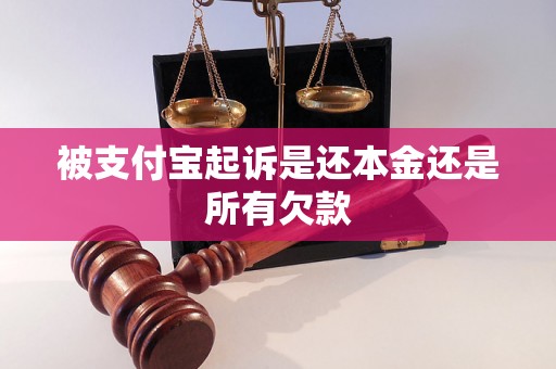 被支付宝起诉是还本金还是所有欠款 被支付宝起诉是还本金还是所有欠款