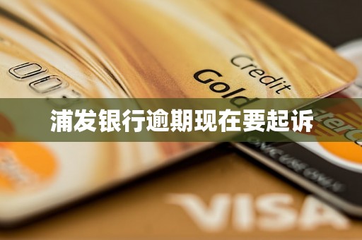 浦发银行逾期现在要起诉
