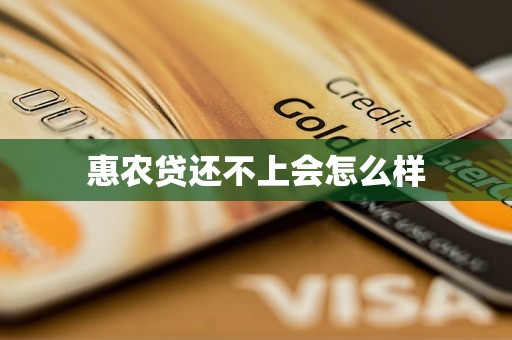 惠农贷还不上会怎么样