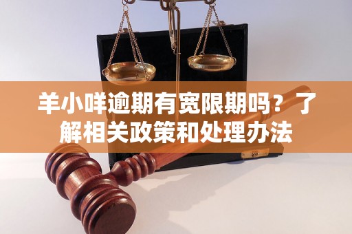 羊小咩逾期有宽限期吗？了解相关政策和处理办法