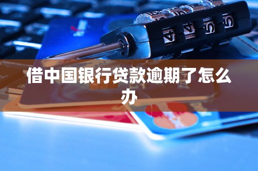 借中国银行贷款逾期了怎么办 借中国银行贷款逾期了怎么办
