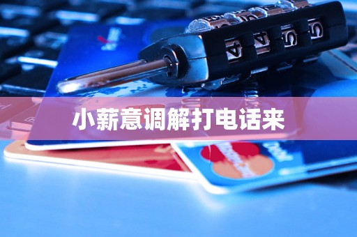 小薪意调解打电话来 小薪意调解打电话来