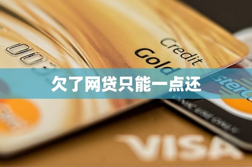 欠了网贷只能一点还 欠了网贷只能一点还