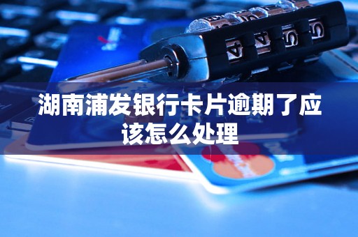 湖南浦发银行卡片逾期了应该怎么处理 湖南浦发银行卡片逾期了应该怎么处理