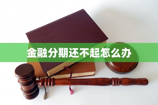 金融分期还不起怎么办 金融分期还不起怎么办