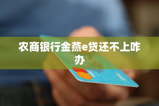 农商银行金燕e贷还不上咋办