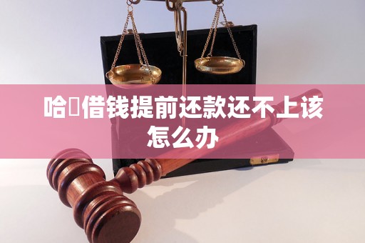 哈啰借钱提前还款还不上该怎么办