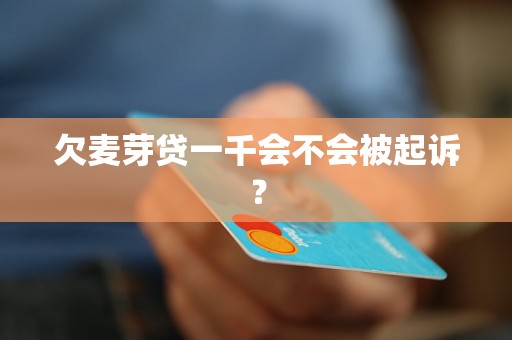 欠麦芽贷一千会不会被起诉？