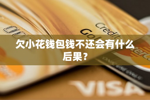 欠小花钱包钱不还会有什么后果？