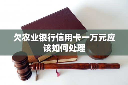 欠农业银行信用卡一万元应该如何处理