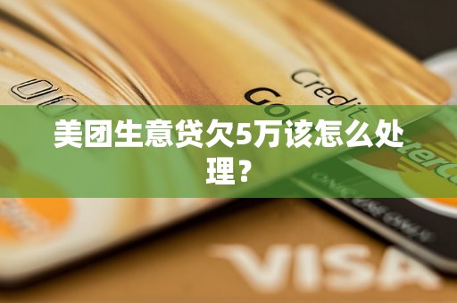 美团生意贷欠5万该怎么处理? 美团生意贷欠5万该怎么处理?
