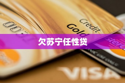 欠苏宁任性贷