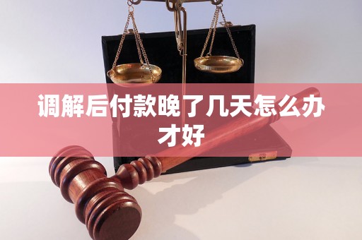 调解后付款晚了几天怎么办才好