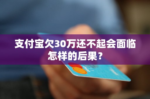 支付宝欠30万还不起会面临怎样的后果？