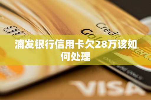 浦发银行信用卡欠28万该如何处理 浦发银行信用卡欠28万该如何处理