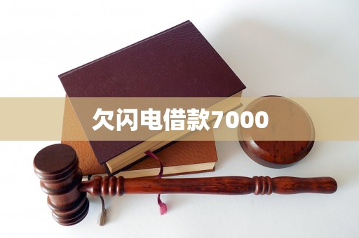 欠闪电借款7000