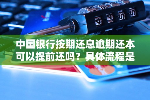 中国银行按期还息逾期还本可以提前还吗？具体流程是什么？