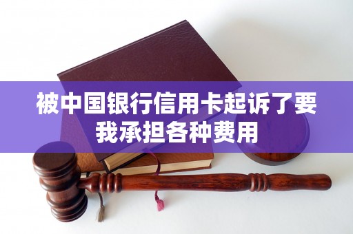 被中国银行信用卡起诉了要我承担各种费用