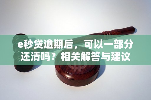 e秒贷逾期后，可以一部分还清吗？相关解答与建议