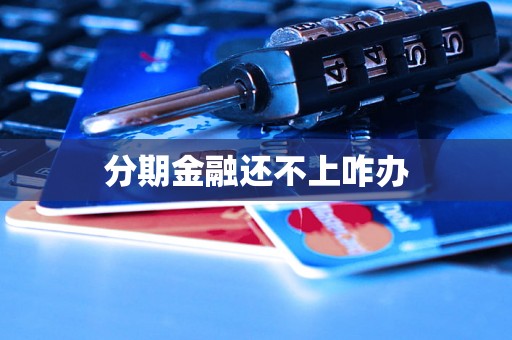 分期金融还不上咋办