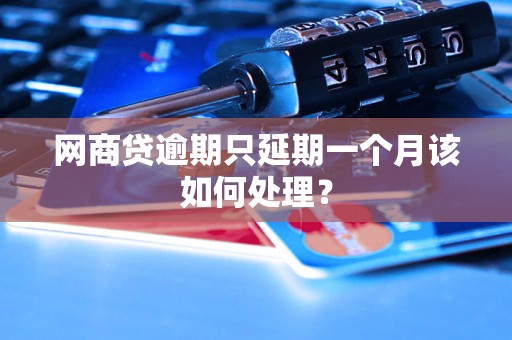 网商贷逾期只延期一个月该如何处理？