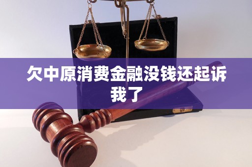 欠中原消费金融没钱还起诉我了 欠中原消费金融没钱还起诉我了