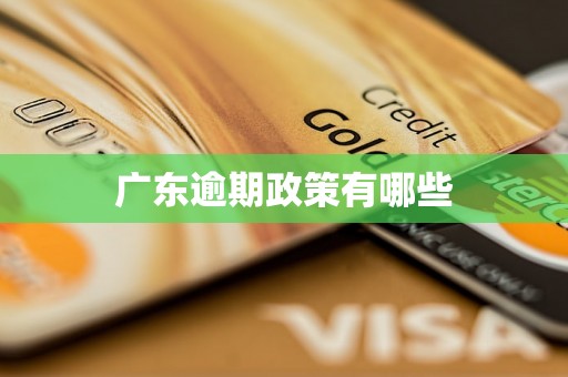 广东逾期政策有哪些