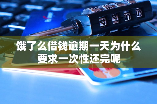 饿了么借钱逾期一天为什么要求一次性还完呢