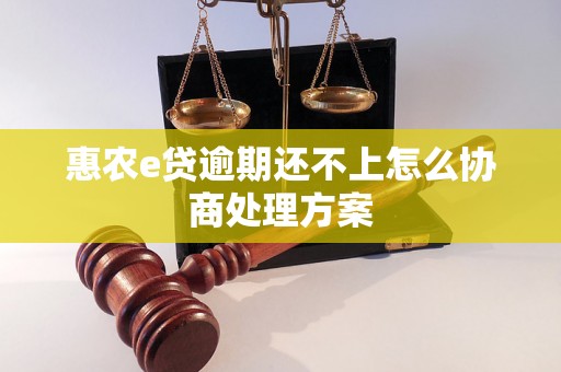 惠农e贷逾期还不上怎么协商处理方案