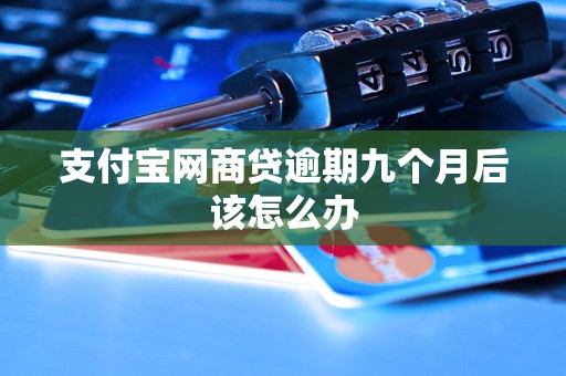 支付宝网商贷逾期九个月后该怎么办