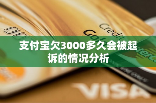 支付宝欠3000多久会被起诉的情况分析