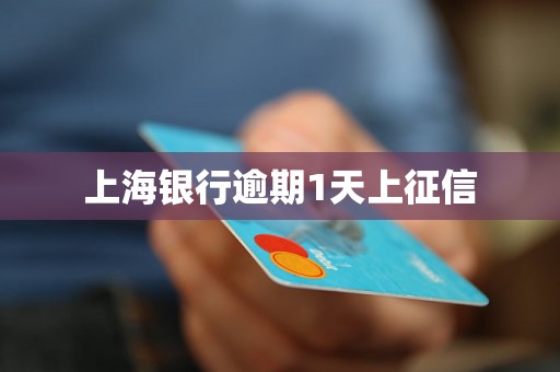 上海银行逾期1天上征信