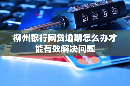 柳州银行网贷逾期怎么办才能有效解决问题