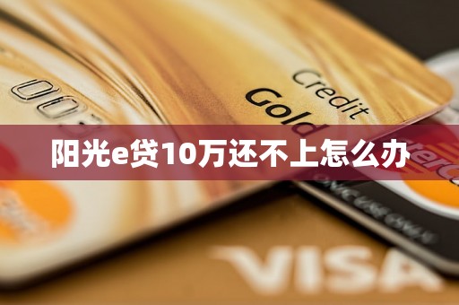 阳光e贷10万还不上怎么办 阳光e贷10万还不上怎么办