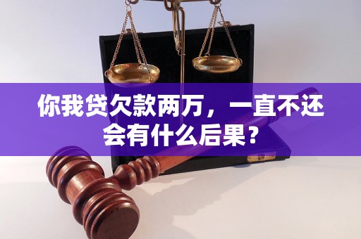 你我贷欠款两万，一直不还会有什么后果？