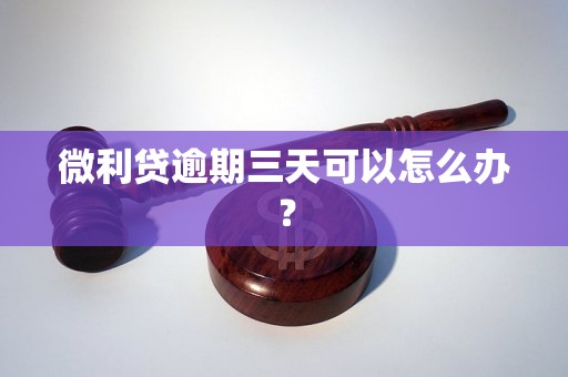 微利贷逾期三天可以怎么办？