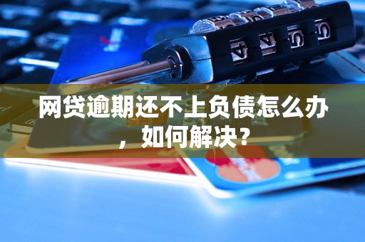网贷逾期还不上负债怎么办，如何解决？