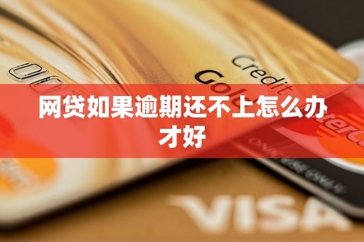 网贷如果逾期还不上怎么办才好