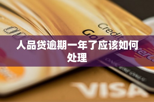 人品贷逾期一年了应该如何处理