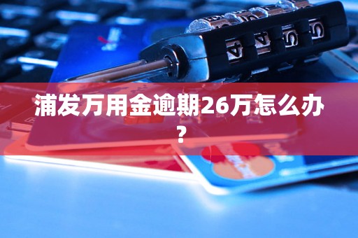 浦发万用金逾期26万怎么办？