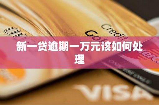 新一贷逾期一万元该如何处理 新一贷逾期一万元该如何处理