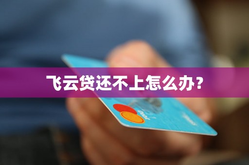 飞云贷还不上怎么办？
