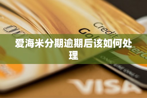 爱海米分期逾期后该如何处理