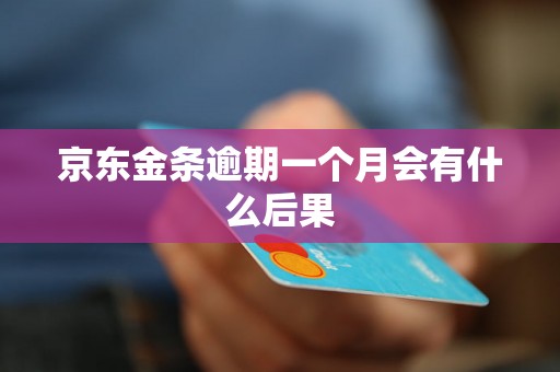 京东金条逾期一个月会有什么后果