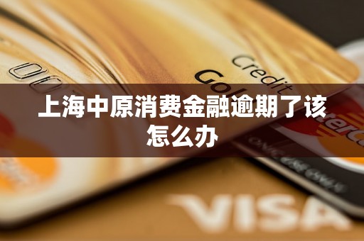 上海中原消费金融逾期了该怎么办