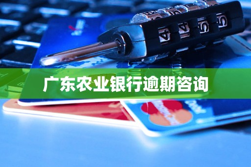 广东农业银行逾期咨询