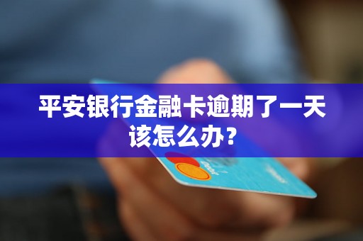 平安银行金融卡逾期了一天该怎么办? 平安银行金融卡逾期了一天该怎么办?