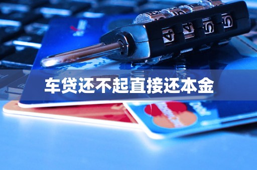车贷还不起直接还本金