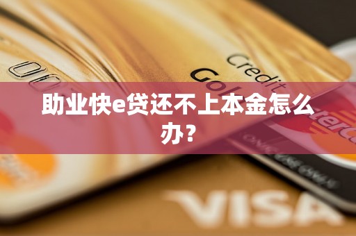 助业快e贷还不上本金怎么办? 助业快e贷还不上本金怎么办?
